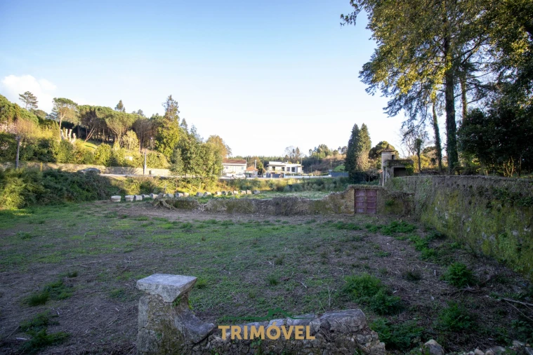 Quinta T0 para Venda em O. Azeméis, Riba-Ul, Ul, Macinhata Seixa, Madail Foto 6