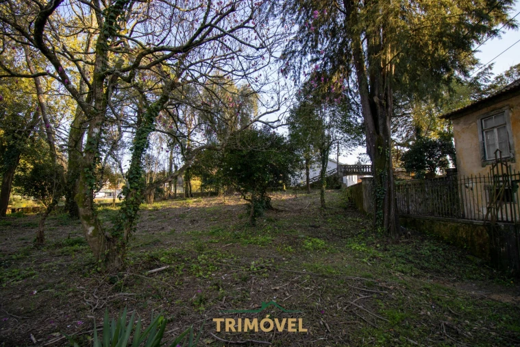 Quinta T0 para Venda em O. Azeméis, Riba-Ul, Ul, Macinhata Seixa, Madail Foto 5