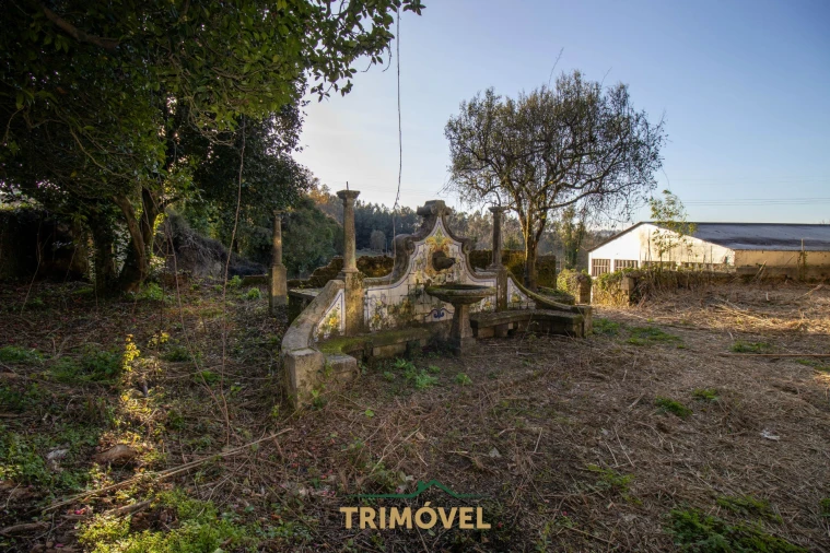 Quinta T0 para Venda em O. Azeméis, Riba-Ul, Ul, Macinhata Seixa, Madail Foto 27