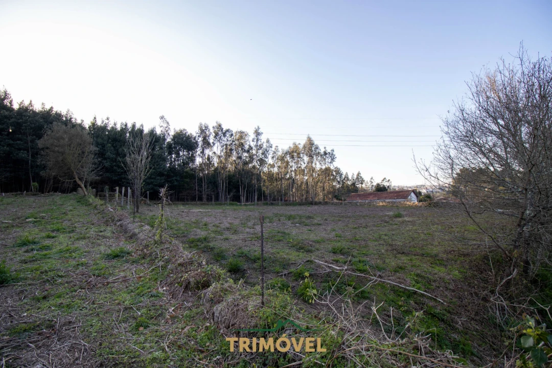 Quinta T0 para Venda em O. Azeméis, Riba-Ul, Ul, Macinhata Seixa, Madail Foto 33