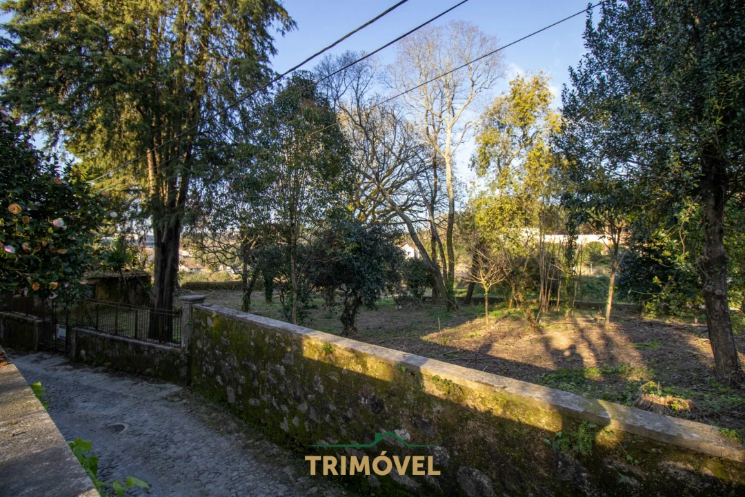 Quinta T0 para Venda em O. Azeméis, Riba-Ul, Ul, Macinhata Seixa, Madail Foto 22