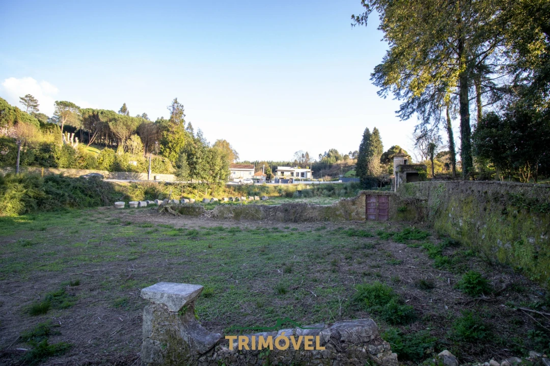 Quinta T0 para Venda em O. Azeméis, Riba-Ul, Ul, Macinhata Seixa, Madail Foto 6