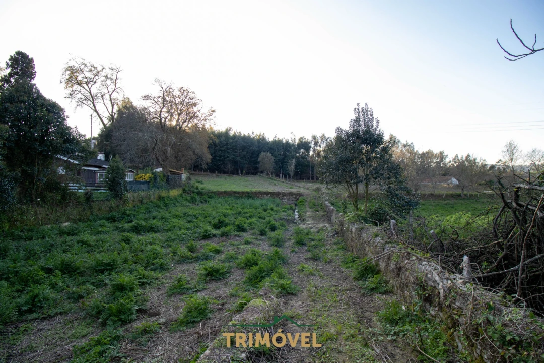 Quinta T0 para Venda em O. Azeméis, Riba-Ul, Ul, Macinhata Seixa, Madail Foto 30