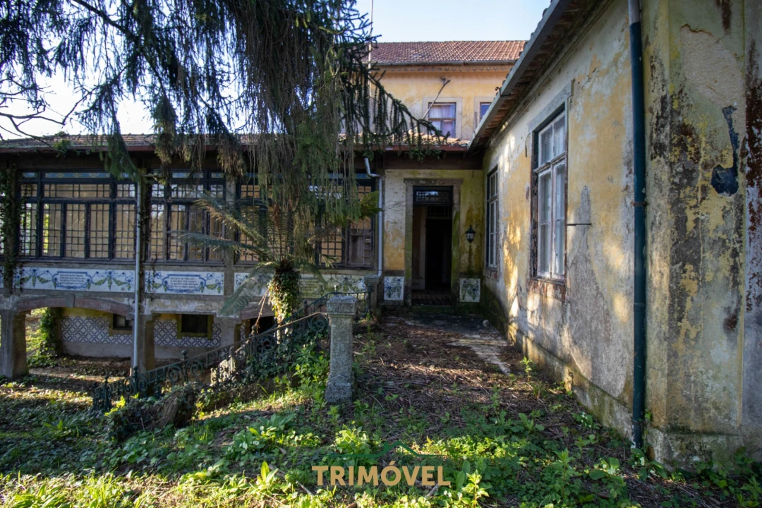 Quinta T0 para Venda em O. Azeméis, Riba-Ul, Ul, Macinhata Seixa, Madail Foto 24