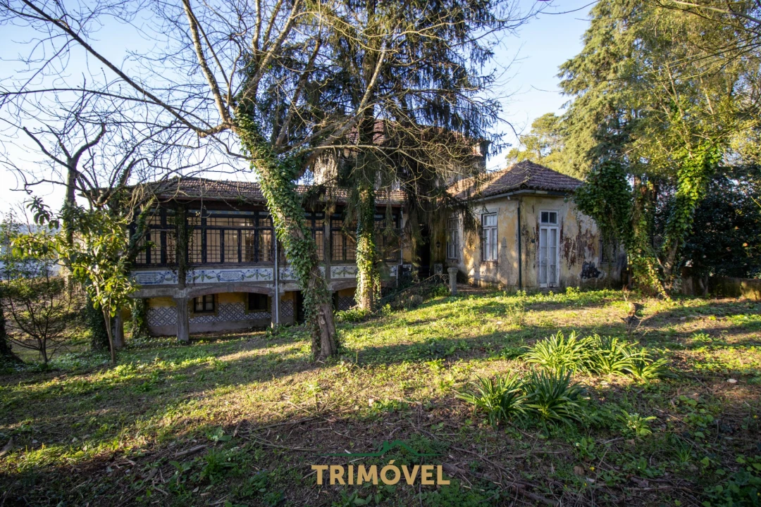 Quinta T0 para Venda em O. Azeméis, Riba-Ul, Ul, Macinhata Seixa, Madail Foto 25