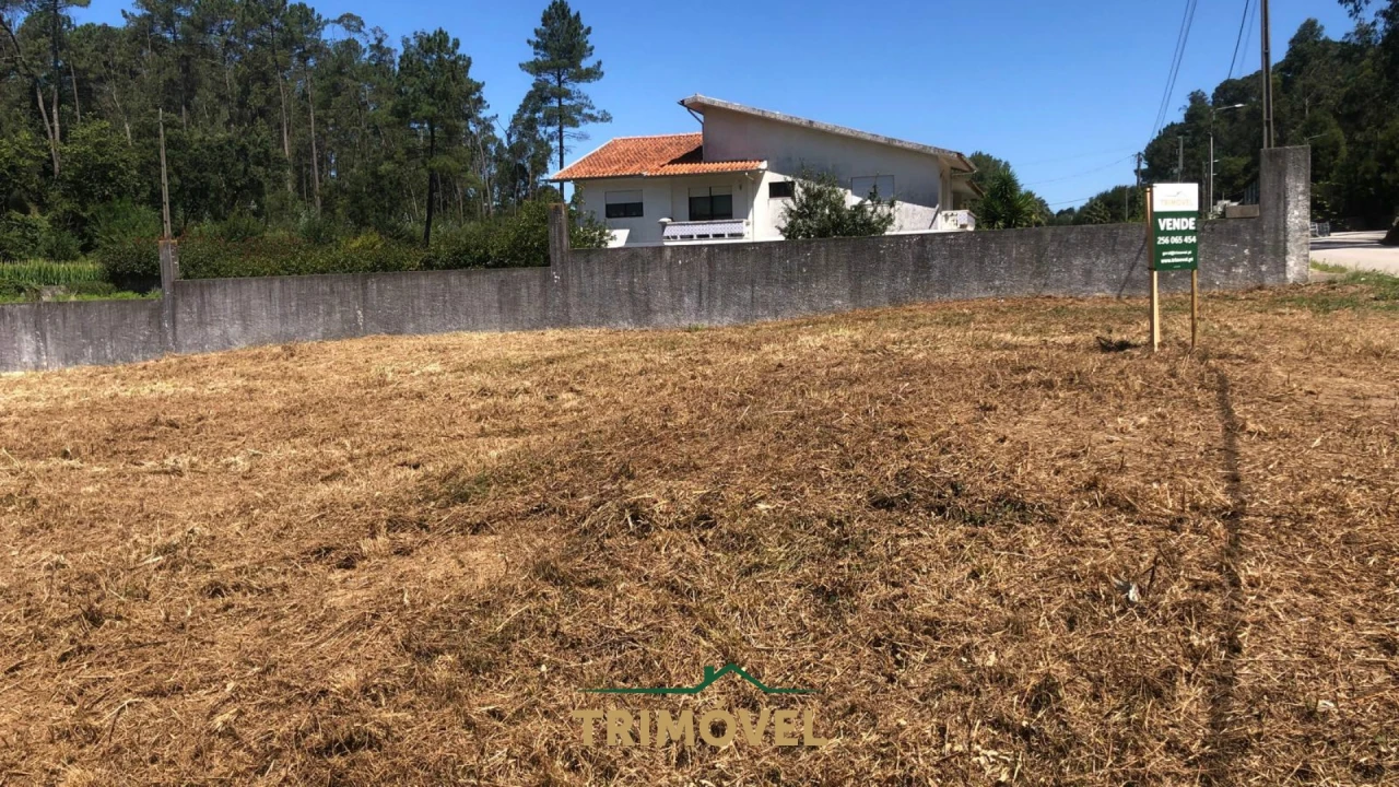 Terreno Agricola ou Rústico para Venda em São Miguel do Souto e Mosteirô Foto 8