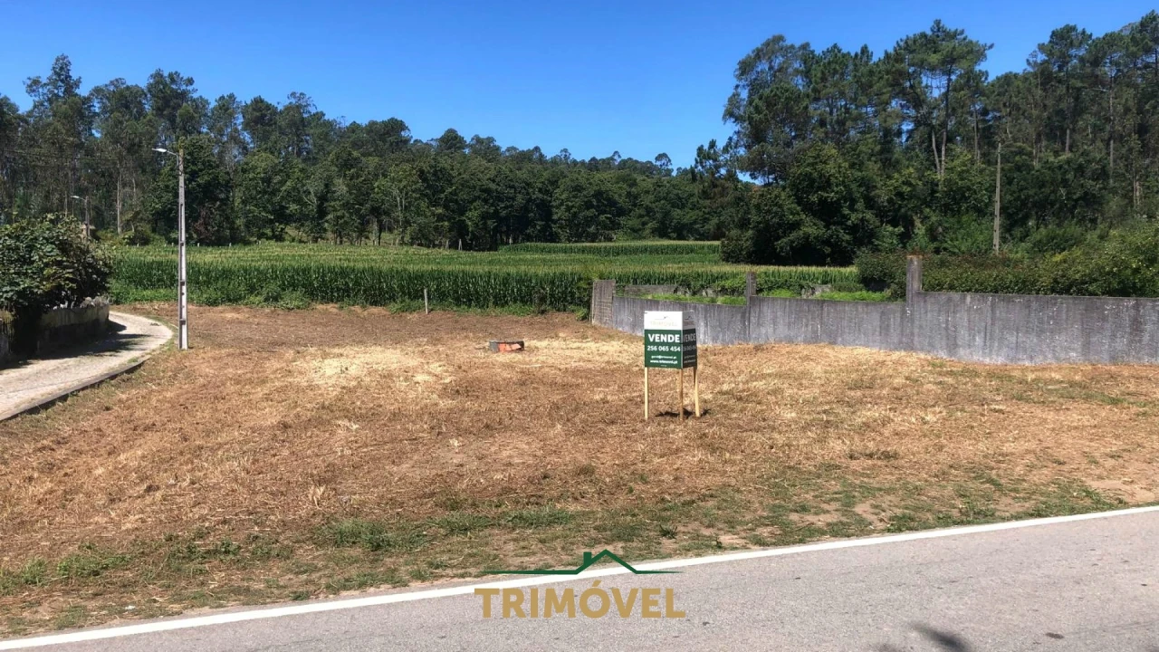 Terreno Agricola ou Rústico para Venda em São Miguel do Souto e Mosteirô Foto 2