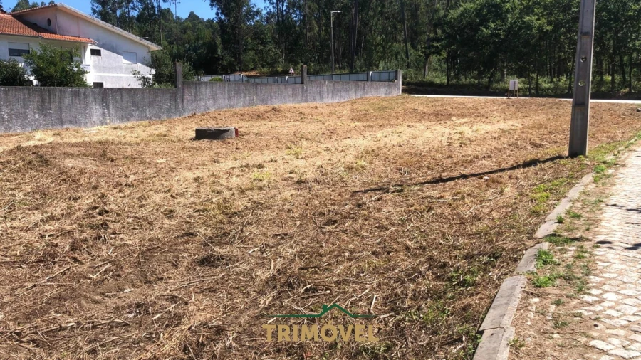 Terreno Agricola ou Rústico para Venda em São Miguel do Souto e Mosteirô Foto 7