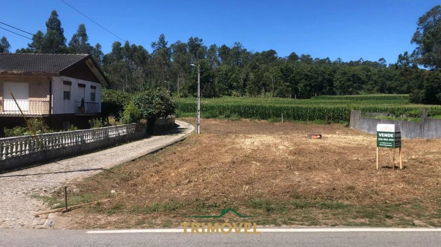 Terreno Agricola ou Rústico para Venda em São Miguel do Souto e Mosteirô Foto 3
