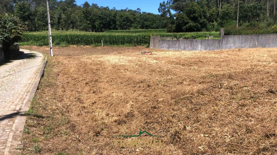 Terreno Agricola ou Rústico para Venda em São Miguel do Souto e Mosteirô Foto 9