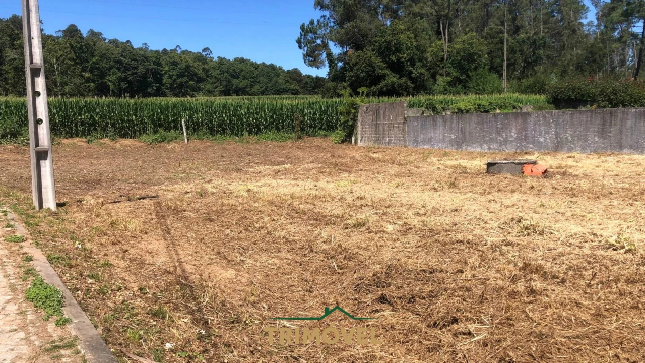 Terreno Agricola ou Rústico para Venda em São Miguel do Souto e Mosteirô Foto 6