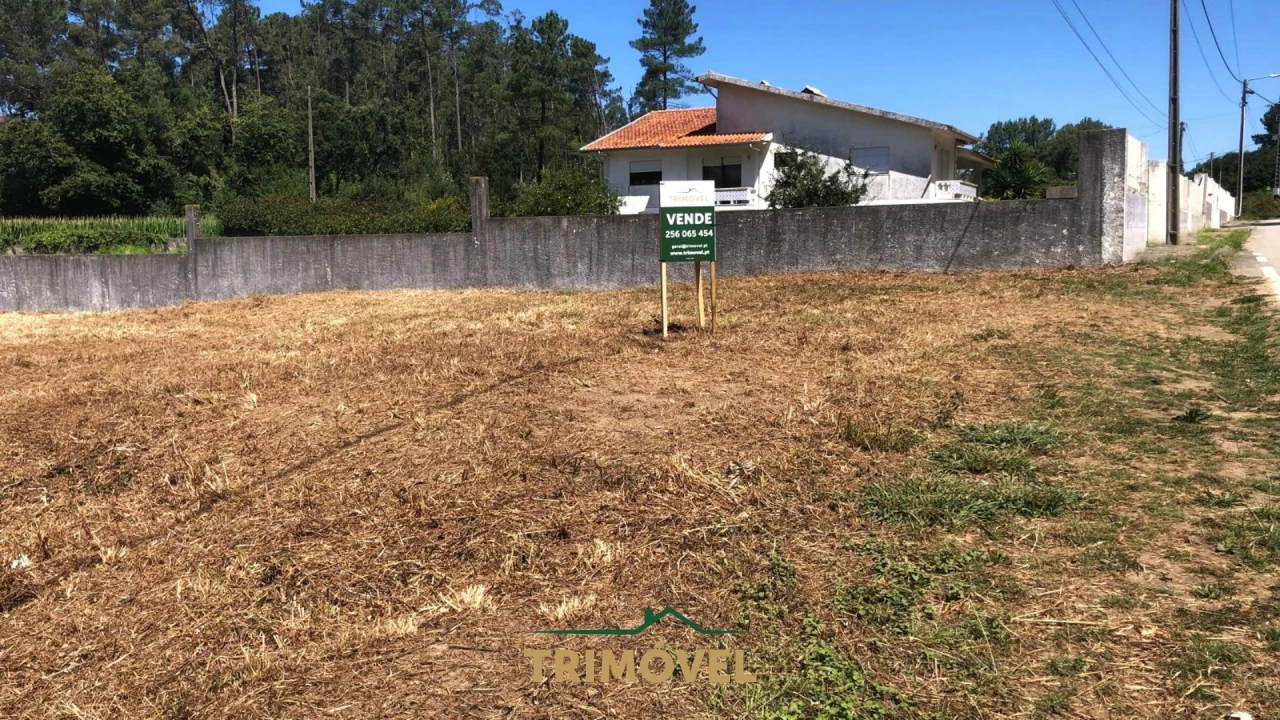 Terreno Agricola ou Rústico para Venda em São Miguel do Souto e Mosteirô Foto 5