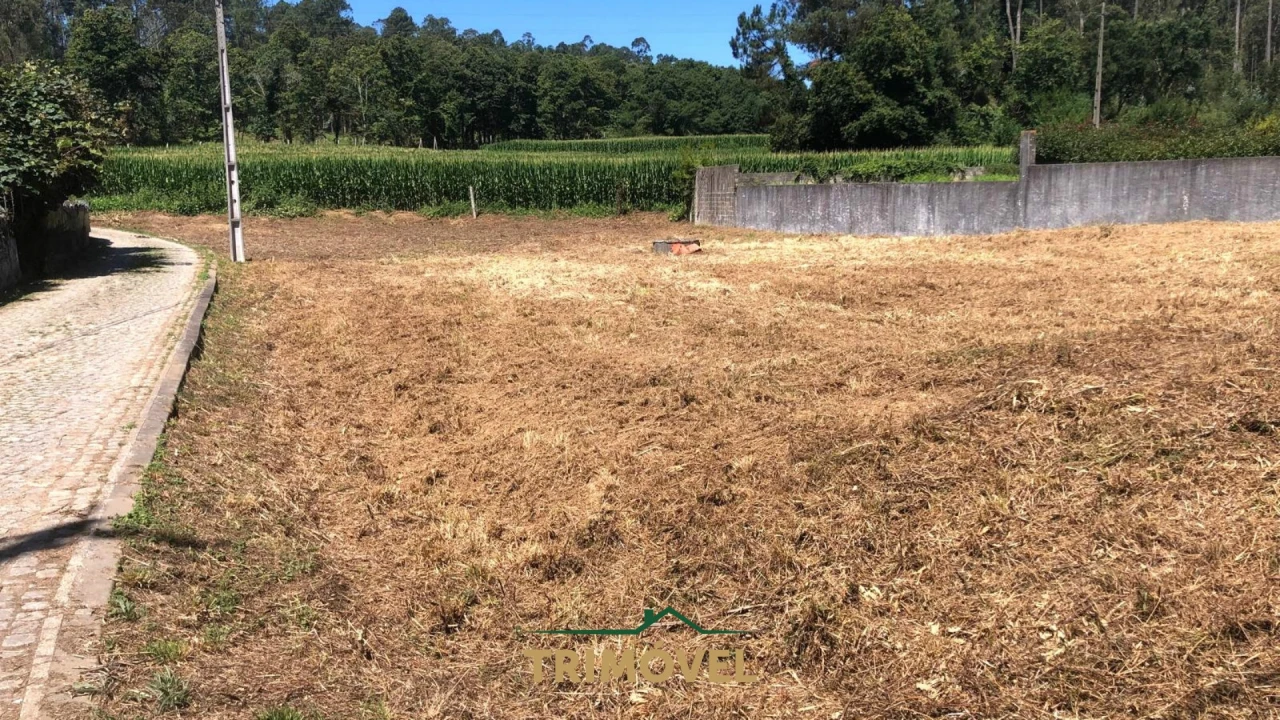 Terreno Agricola ou Rústico para Venda em São Miguel do Souto e Mosteirô Foto 9