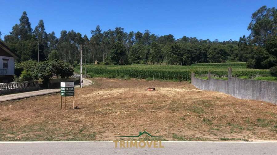 Terreno Agricola ou Rústico para Venda em São Miguel do Souto e Mosteirô