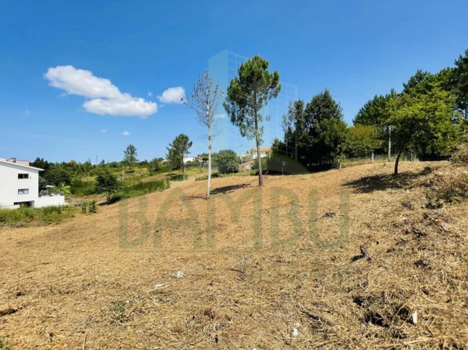 Terreno para Venda em Seixas Foto 4