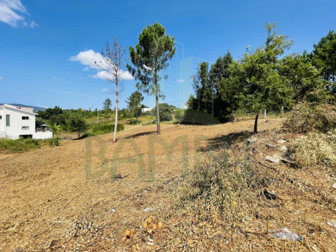 Terreno para Venda em Seixas Foto 6
