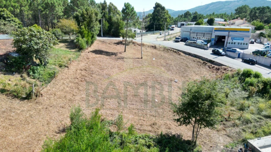 Terreno para Venda em Seixas Foto 1