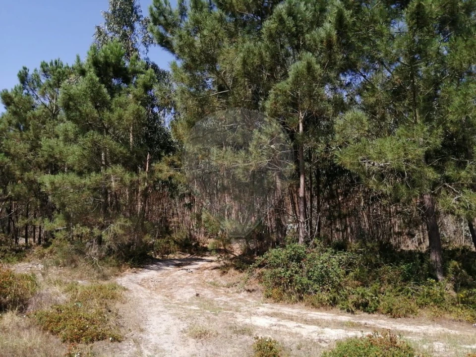 Terreno para Venda em Ponte do Rol Foto 5