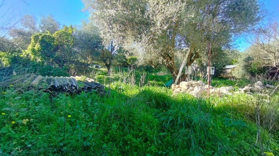 Moradia T3 para Venda em Alenquer (Santo Estêvão e Triana) Foto 3