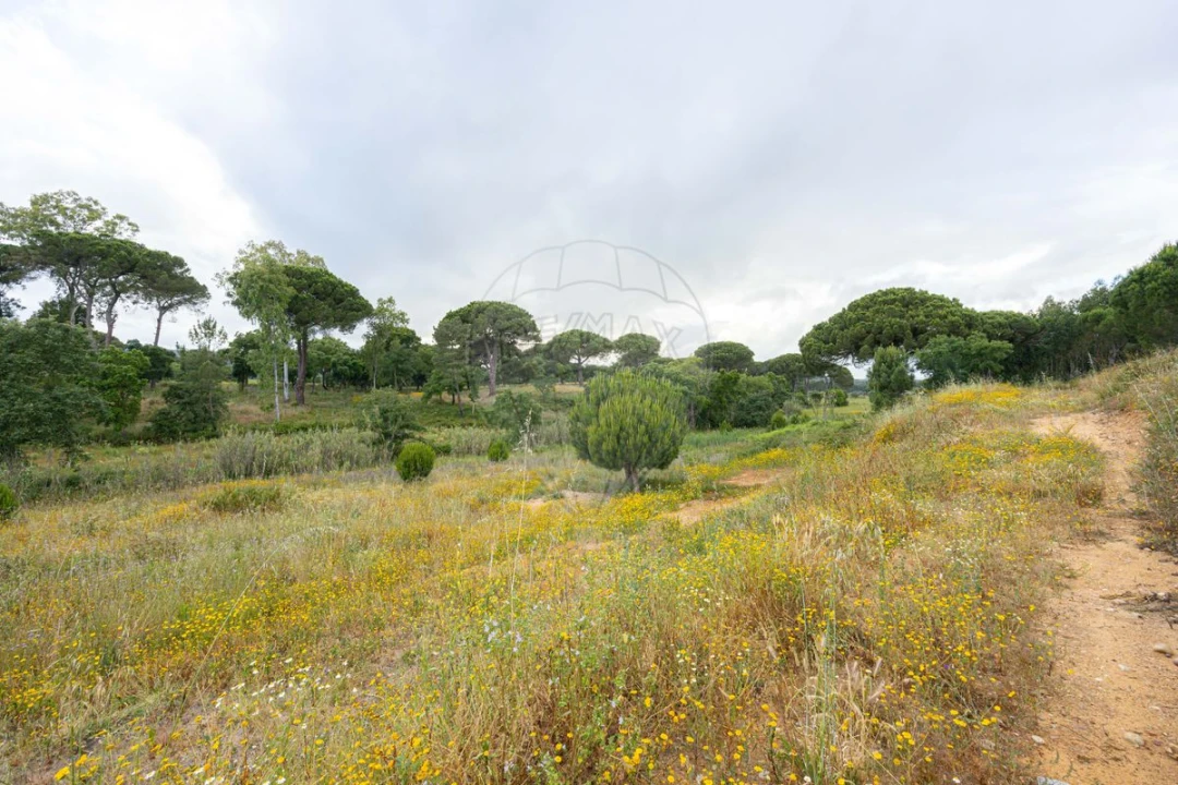 Terreno para Venda em Ota Foto 2