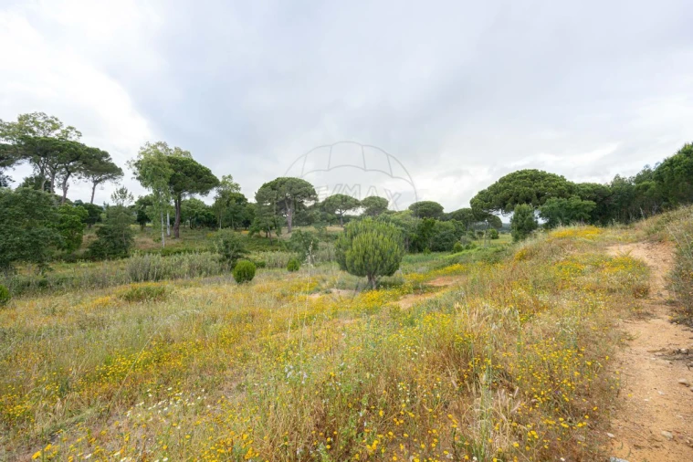 Terreno para Venda em Ota Foto 2