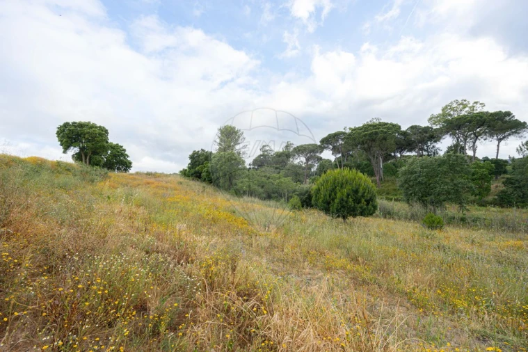 Terreno para Venda em Ota Foto 3