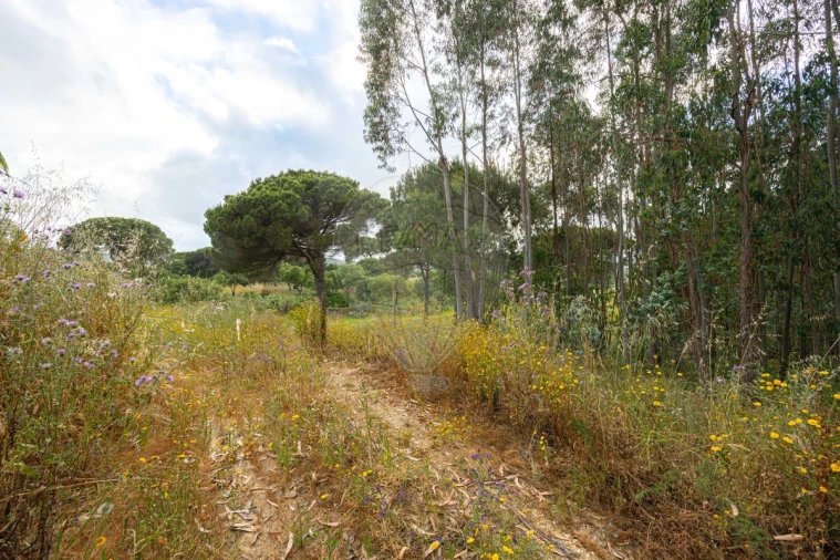 Terreno para Venda em Ota Foto 5
