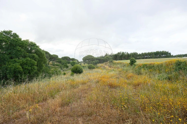 Terreno para Venda em Ota Foto 4