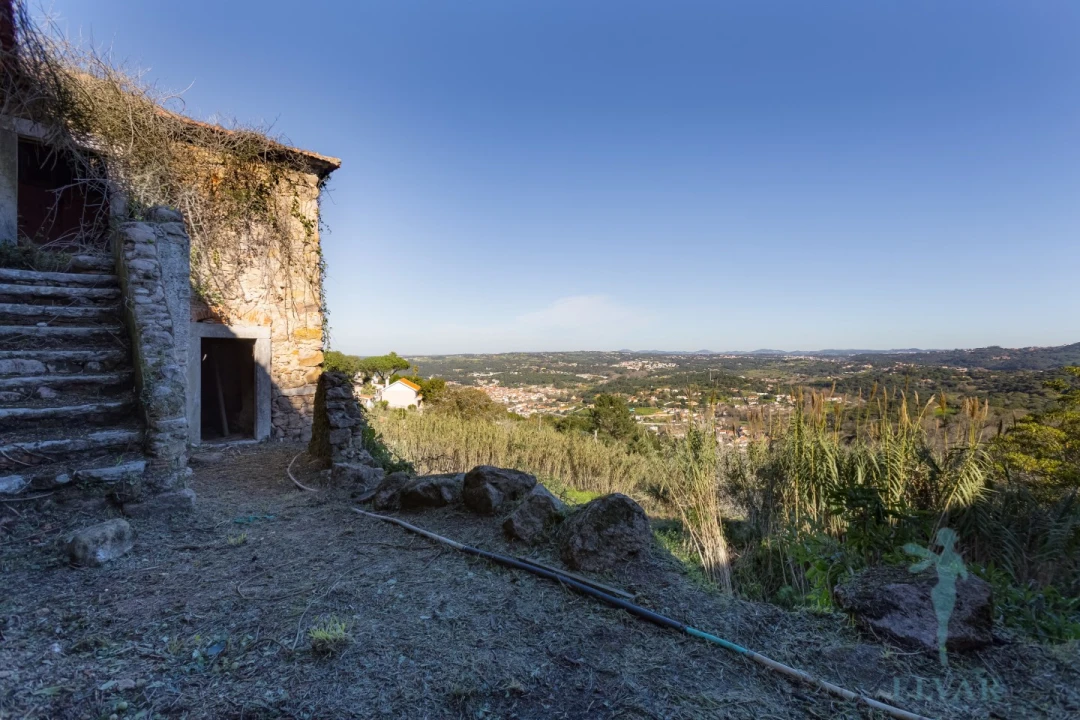 Quinta para Venda em Colares Foto 13