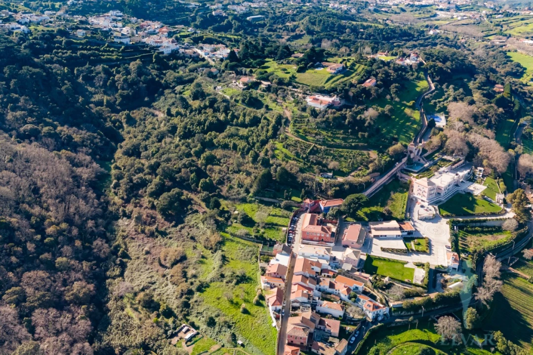 Quinta para Venda em Colares Foto 21