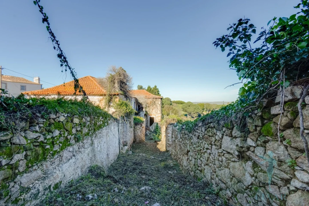Quinta para Venda em Colares Foto 27
