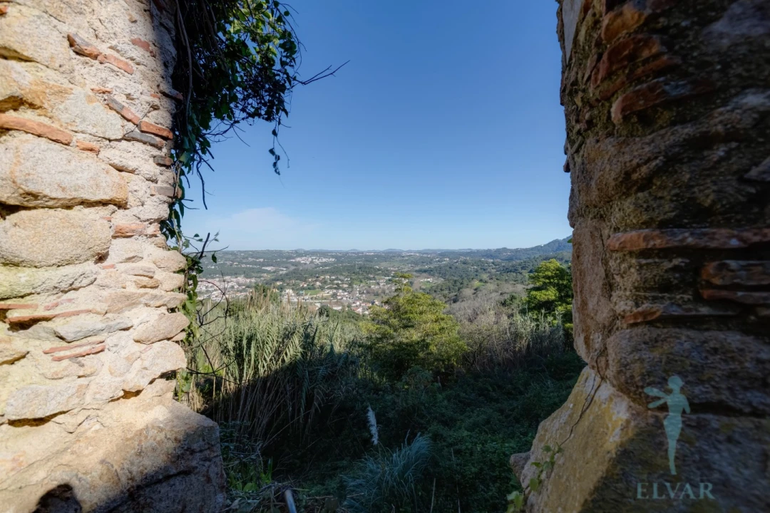 Quinta para Venda em Colares Foto 32