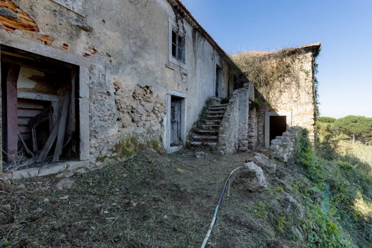 Quinta para Venda em Colares Foto 11