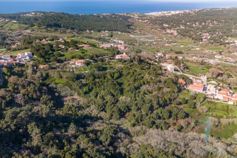 Quinta para Venda em Colares Foto 20