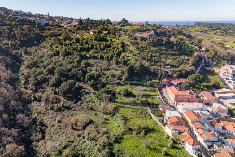 Quinta para Venda em Colares Foto 4