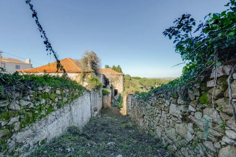 Quinta para Venda em Colares Foto 27