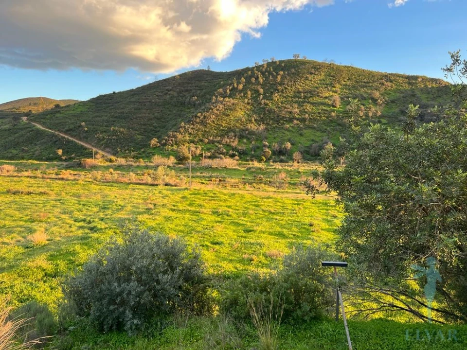 Terreno Agricola ou Rústico para Venda em Alferce Foto 5