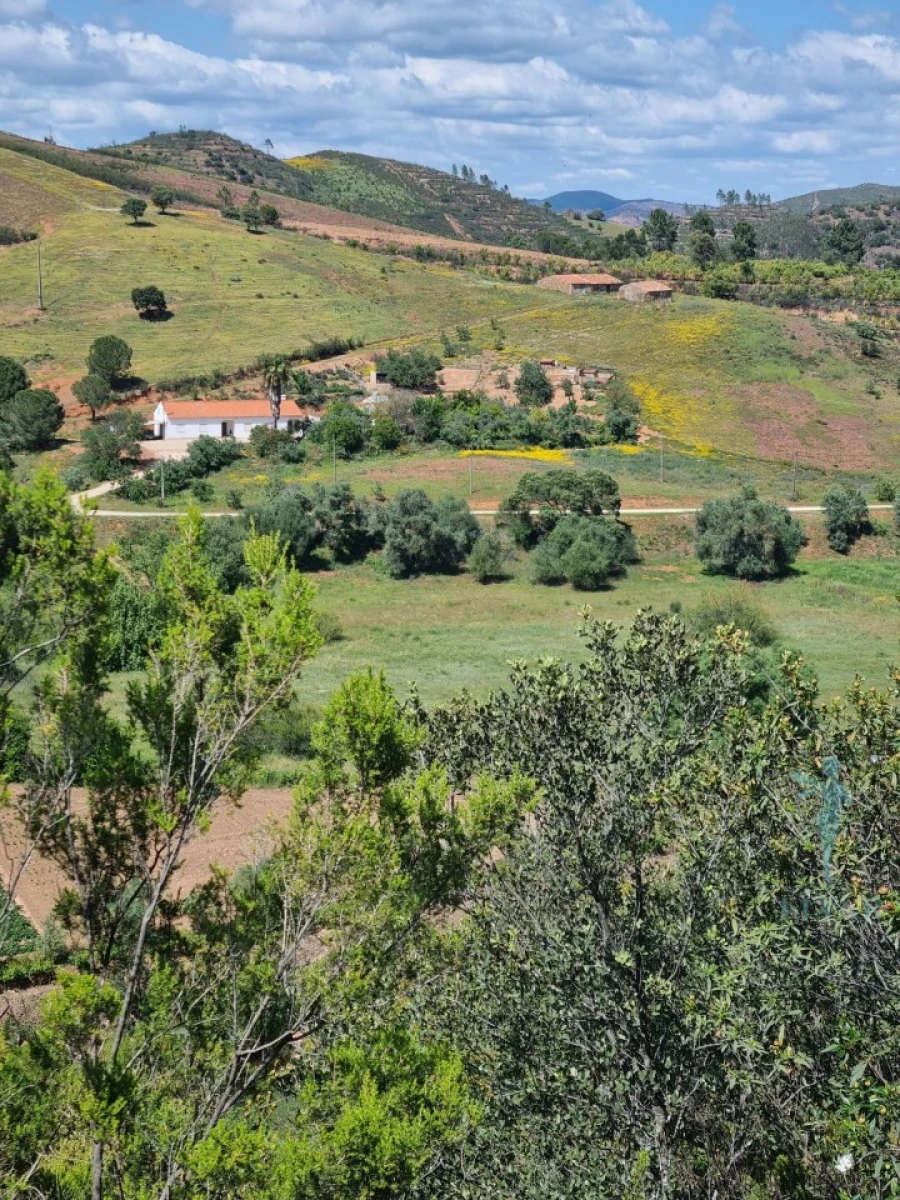 Terreno Agricola ou Rústico para Venda em Alferce Foto 9