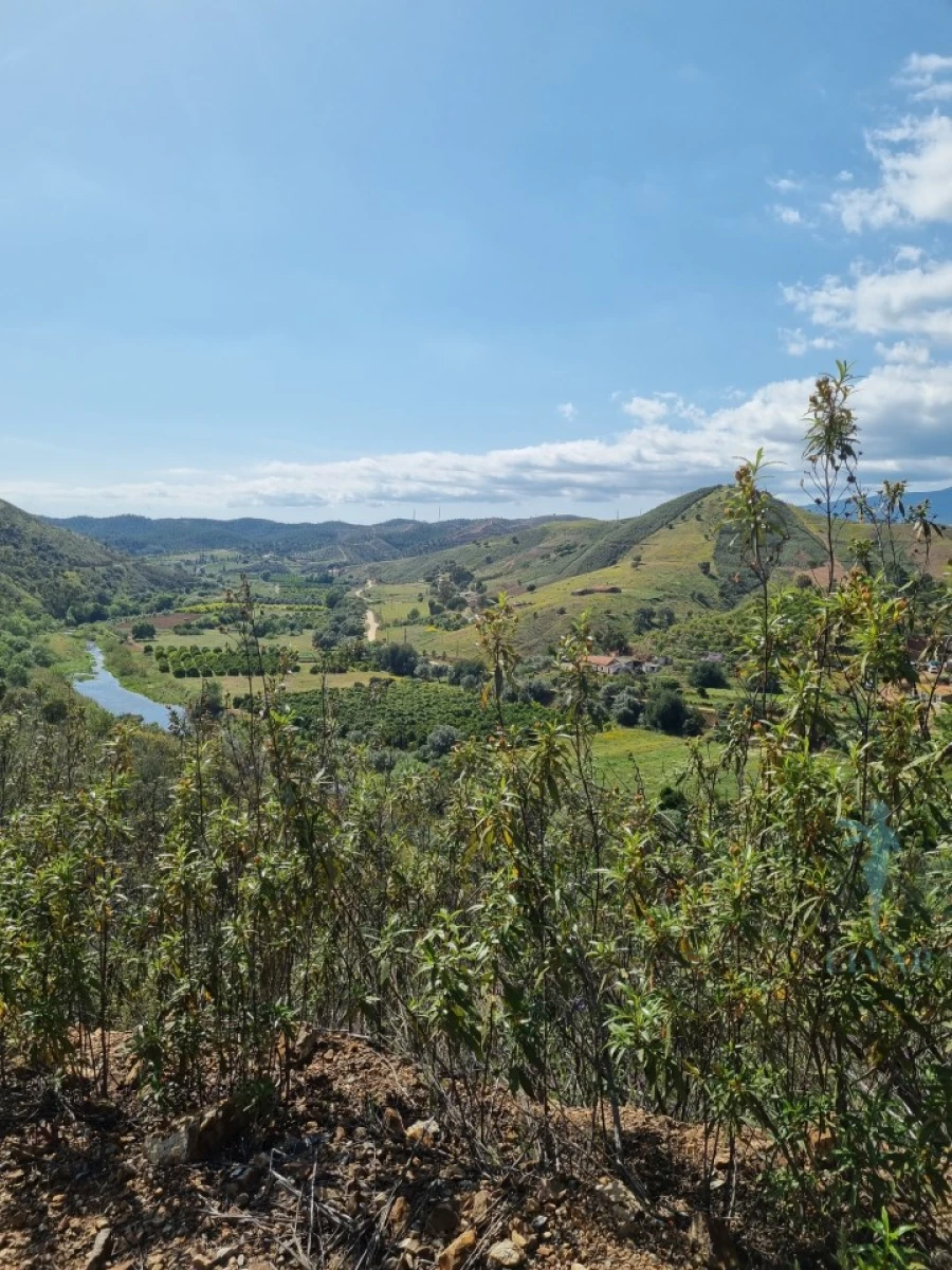 Terreno Agricola ou Rústico para Venda em Alferce Foto 10