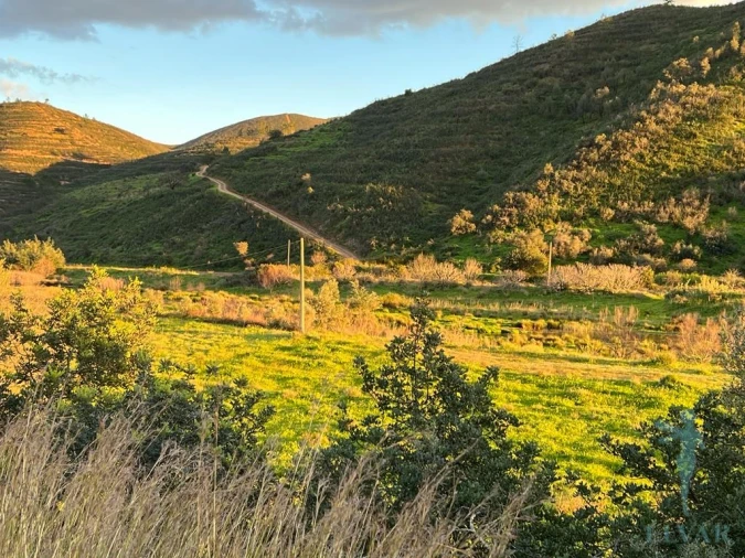Terreno Agricola ou Rústico para Venda em Alferce Foto 6