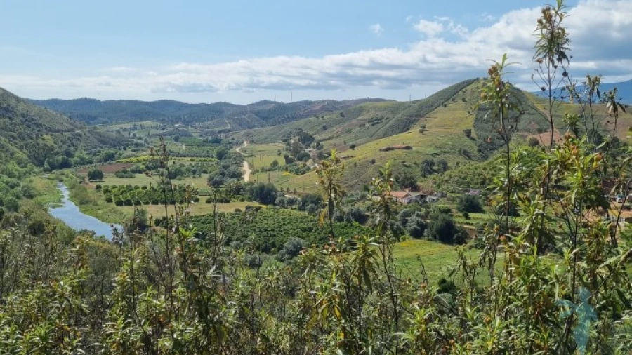 Terreno Agricola ou Rústico para Venda em Alferce