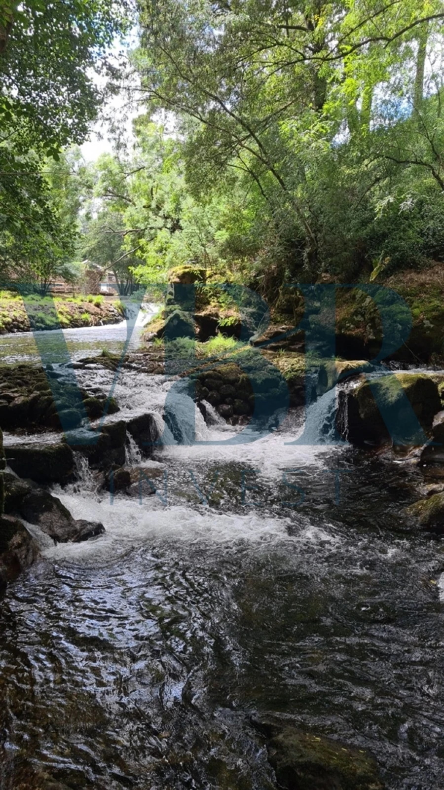 Moradia T5 para Venda em Ceivães e Badim Foto 24