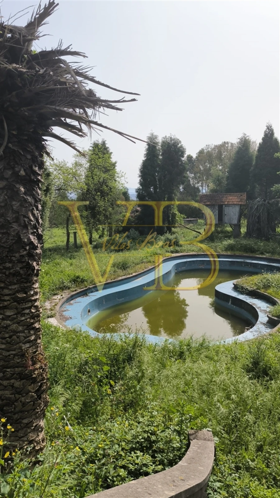 Quinta T4 para Venda em Fiães Foto 6