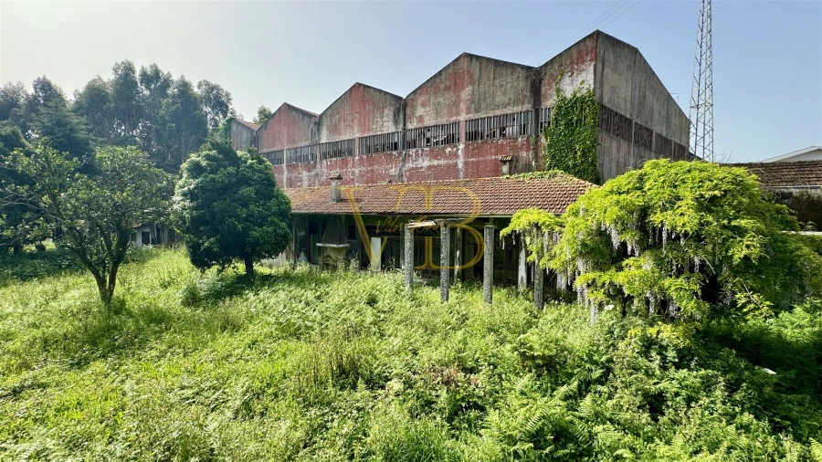 Quinta T4 para Venda em Fiães Foto 17