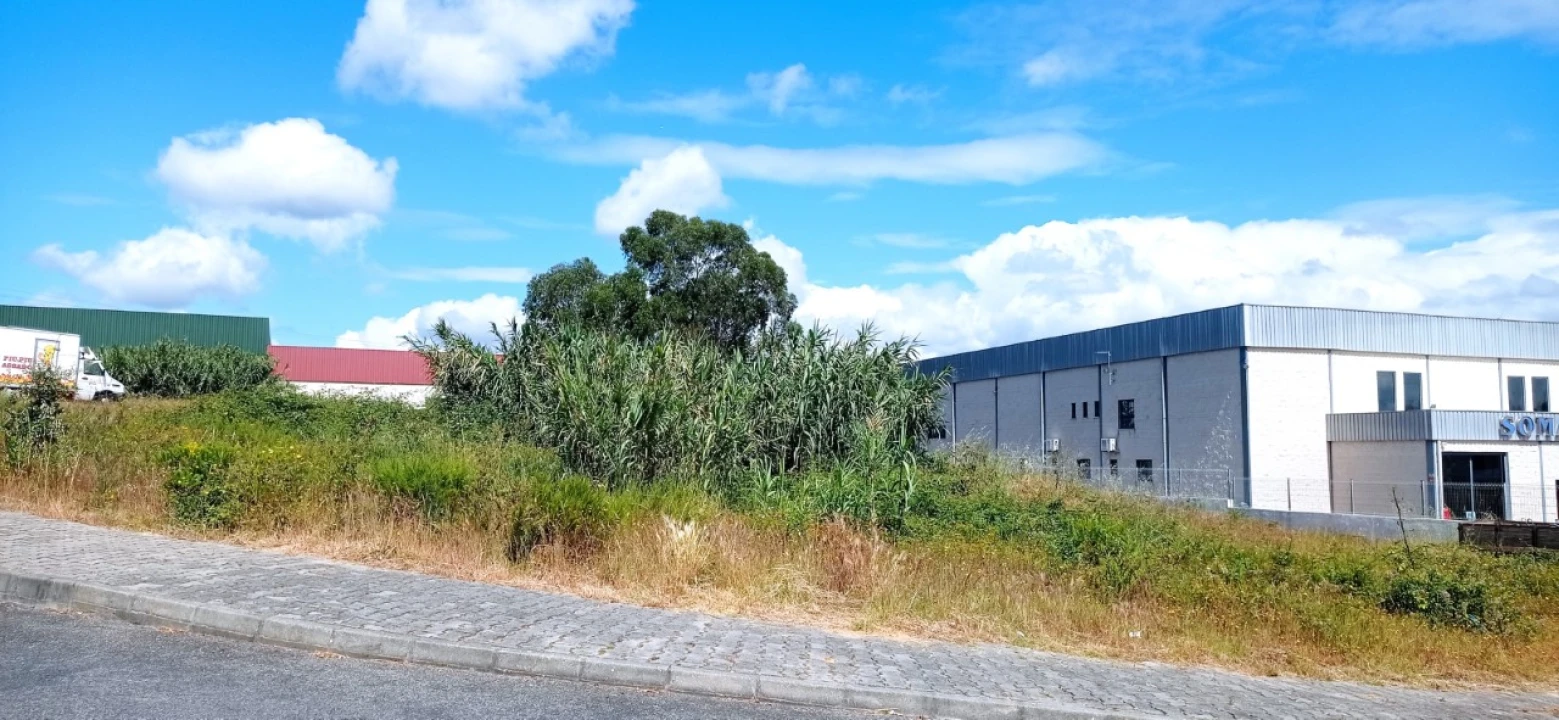 Terreno Comércio / Armazém para Venda em Marvila, Ribeira Santarém, São Salvador, São Nicolau Foto 4