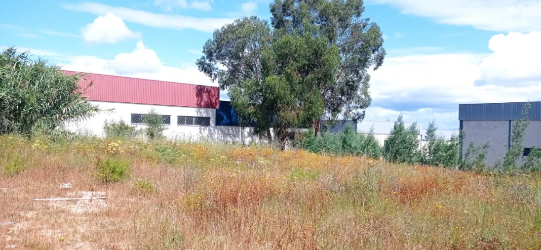 Terreno Comércio / Armazém para Venda em Marvila, Ribeira Santarém, São Salvador, São Nicolau Foto 2