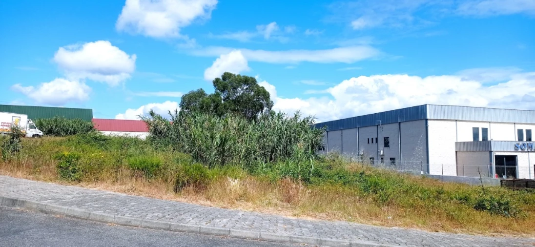 Terreno Comércio / Armazém para Venda em Marvila, Ribeira Santarém, São Salvador, São Nicolau Foto 4