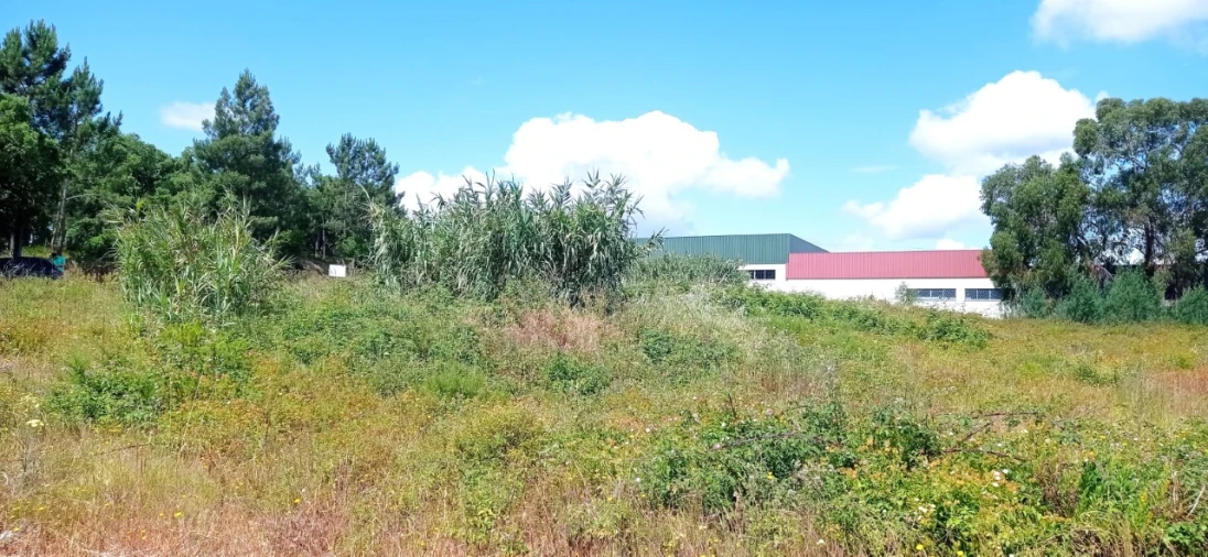 Terreno Comércio / Armazém para Venda em Marvila, Ribeira Santarém, São Salvador, São Nicolau Foto 5