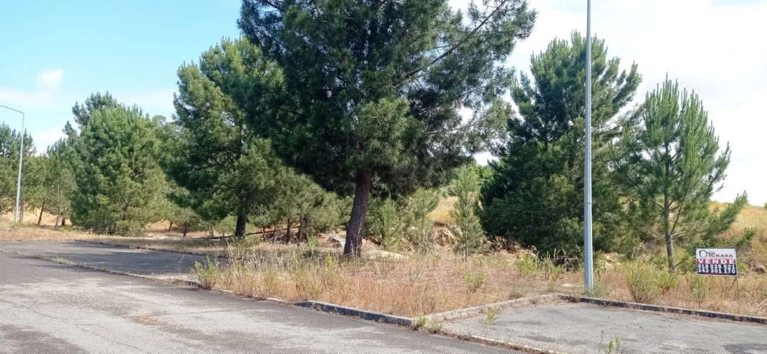 Terreno P/ Prédio para Venda em Marvila, Ribeira Santarém, São Salvador, São Nicolau Foto 3