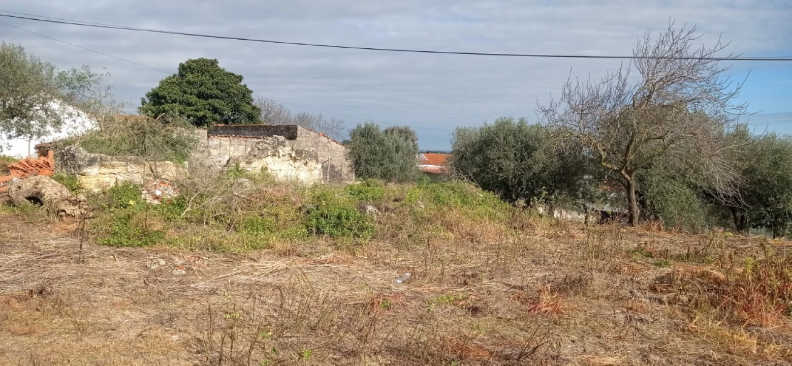 Moradia para Venda em Achete, Azoia de Baixo e Póvoa de Santarém Foto 3